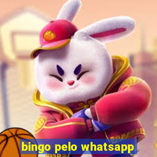 bingo pelo whatsapp