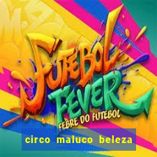 circo maluco beleza recife circo maluco