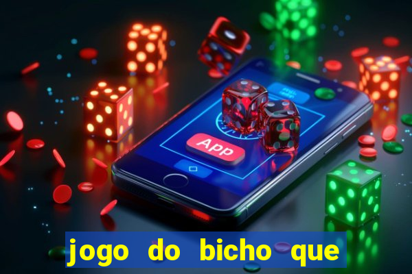 jogo do bicho que paga no pix