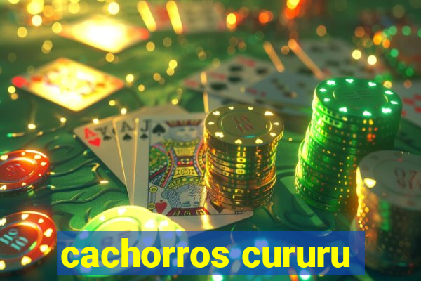 cachorros cururu