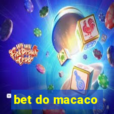 bet do macaco