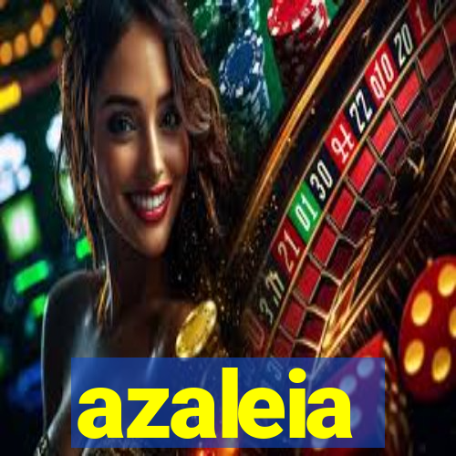 azaleia-br.com