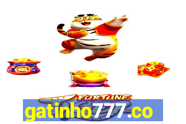 gatinho777.co